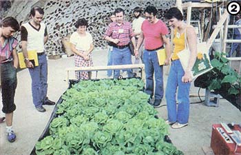 
[2] The hydroponic garden in MOTHER EARTH NEWS' unique stackwood dome greenhouse was an impressive display for . 
